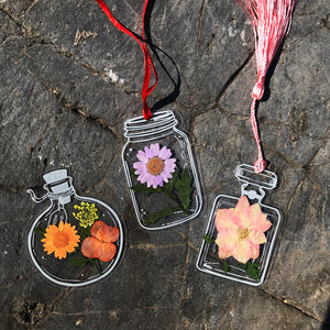 🌸Signets de fleurs séchées transparentes
