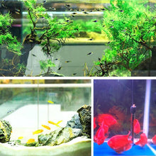 Charger l&#39;image dans la galerie, Purificateur d&#39;eau Eco Aquarium Rubik&#39;s Cube