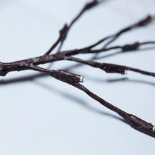Charger l&#39;image dans la galerie, Lumière décorative à DEL pour brindilles - ciaovie
