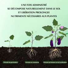 Charger l&#39;image dans la galerie, Engrais de jardin universel à libération lente sous forme de comprimés