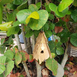 Maison d'oiseau unique
