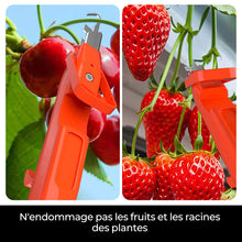 Charger l&#39;image dans la galerie, Outils efficaces de collecte de poivre
