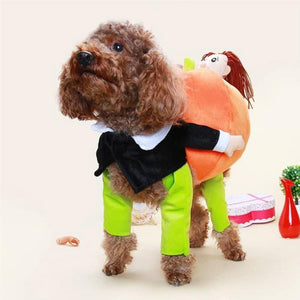 🎃Costume d'Halloween de citrouille pour chien de compagnie🎃