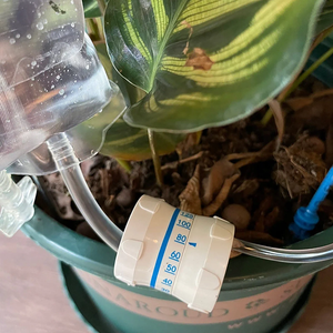 Sacs goutte à goutte pour plantes - irrigation goutte à goutte des plantes