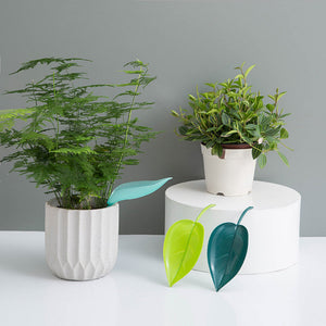 🌸🥬Feuilles d'arrosage drôles (6pcs)🥬🌸