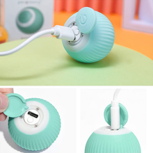 Charger l&#39;image dans la galerie, Cache-cache chat taquin
