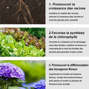 Engrais de jardin universel à libération lente sous forme de comprimés