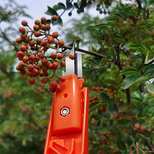 Charger l&#39;image dans la galerie, Outils efficaces de collecte de poivre