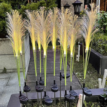Charger l&#39;image dans la galerie, Reed Fibre Optique Lumière
