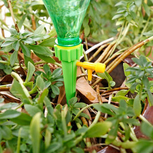 Système D'Arrossage Pour Plantes En Pot - ciaovie
