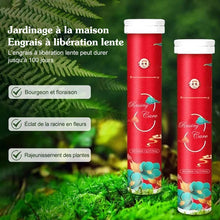 Charger l&#39;image dans la galerie, Engrais de jardin universel à libération lente sous forme de comprimés