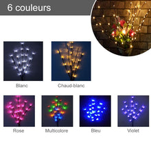 Charger l&#39;image dans la galerie, Lumière décorative à DEL pour brindilles - ciaovie