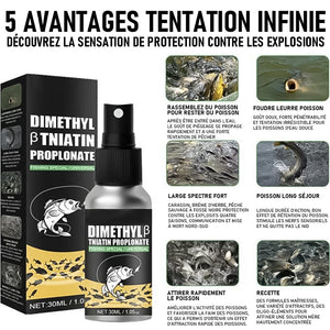 Agent De Pêche Aux Appâts De Pêche