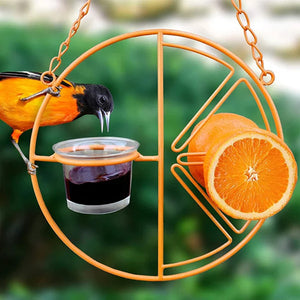 Mangeoire à Oiseaux Oriole Orange