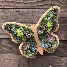 Charger l&#39;image dans la galerie, Arrangement de Jardin d&#39;Animaux Succulents