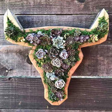 Charger l&#39;image dans la galerie, Arrangement de Jardin d&#39;Animaux Succulents