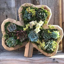 Charger l&#39;image dans la galerie, Arrangement de Jardin d&#39;Animaux Succulents