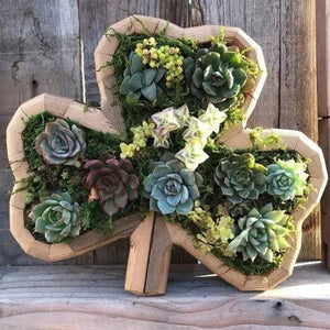 Arrangement de Jardin d'Animaux Succulents