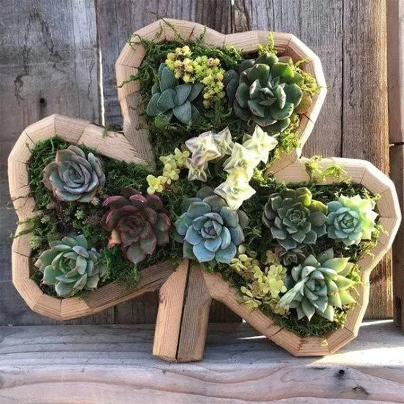 Arrangement de Jardin d'Animaux Succulents