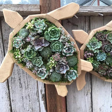 Charger l&#39;image dans la galerie, Arrangement de Jardin d&#39;Animaux Succulents