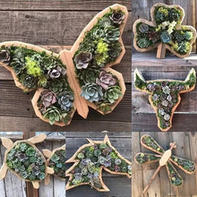 Charger l&#39;image dans la galerie, Arrangement de Jardin d&#39;Animaux Succulents