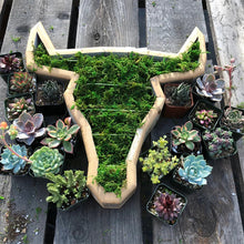 Charger l&#39;image dans la galerie, Arrangement de Jardin d&#39;Animaux Succulents