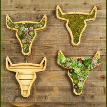 Charger l&#39;image dans la galerie, Arrangement de Jardin d&#39;Animaux Succulents
