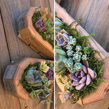 Charger l&#39;image dans la galerie, Arrangement de Jardin d&#39;Animaux Succulents