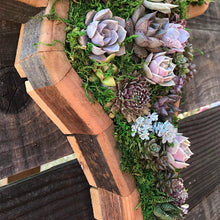 Charger l&#39;image dans la galerie, Arrangement de Jardin d&#39;Animaux Succulents