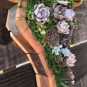 Arrangement de Jardin d'Animaux Succulents