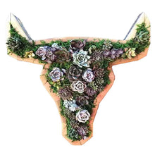 Charger l&#39;image dans la galerie, Arrangement de Jardin d&#39;Animaux Succulents
