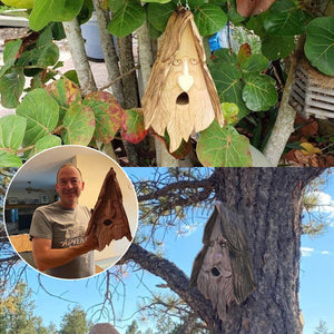 Maison d'oiseau unique