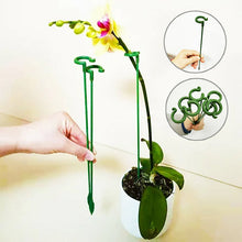 Charger l&#39;image dans la galerie, Poteau de soutien des plantes