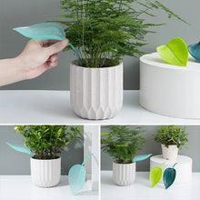 Charger l&#39;image dans la galerie, 🌸🥬Feuilles d&#39;arrosage drôles (6pcs)🥬🌸
