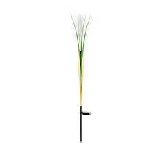 Charger l&#39;image dans la galerie, Reed Fibre Optique Lumière