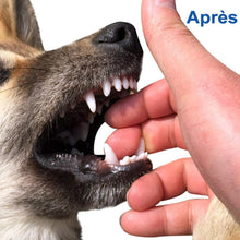 Charger l&#39;image dans la galerie, Ciaovie™ Jouet à Mâcher d&#39;animal Familier - ciaovie
