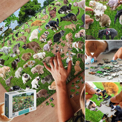 Puzzle 1000 pièces, 101 chiots qui font caca