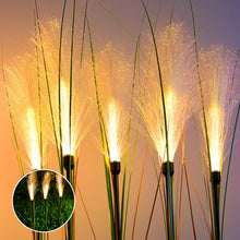 Charger l&#39;image dans la galerie, Reed Fibre Optique Lumière